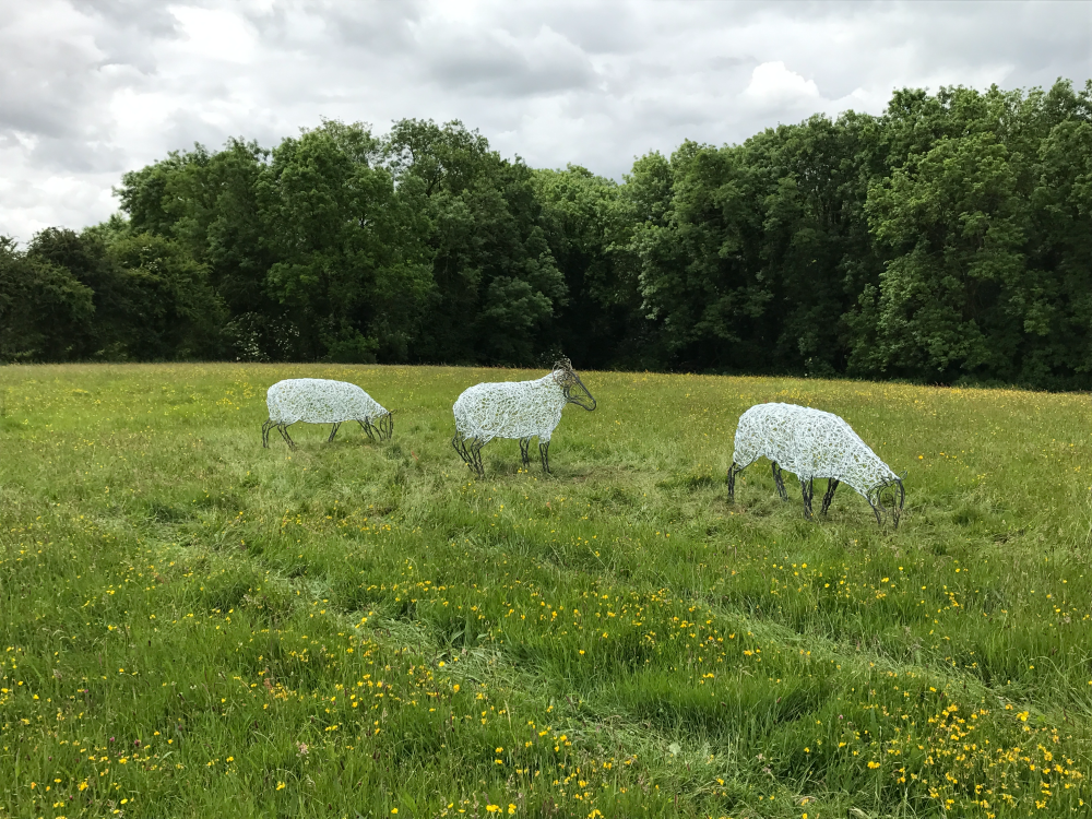 Ram & Sheep Sculpture - Flock