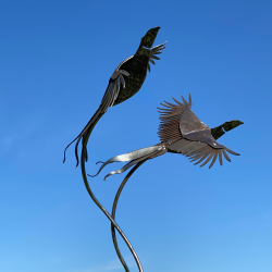 Birds On A Sunny Day