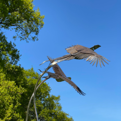 Birds Flying Design