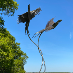 Two Birds