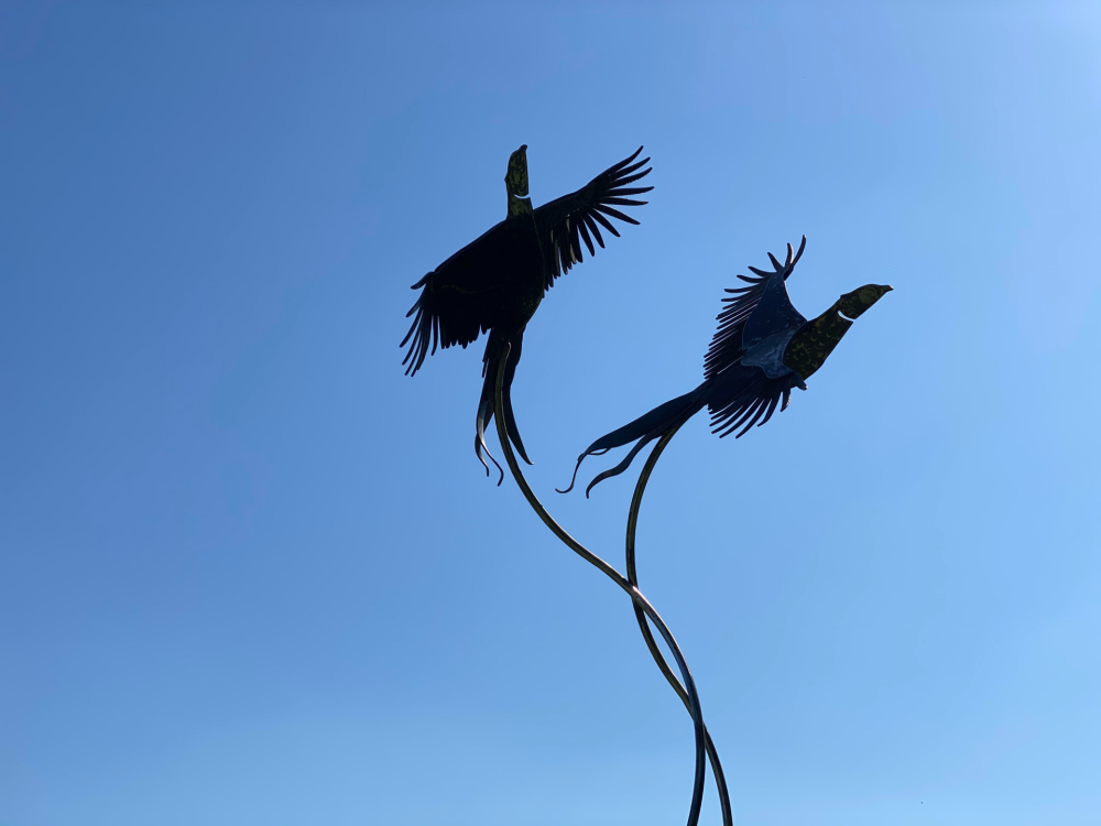 Two Birds Flying