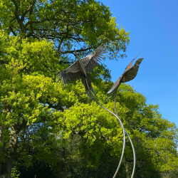 silver birds flying