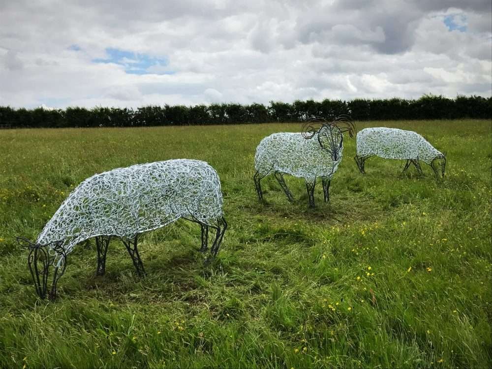 Three Ram Sheep Sculpture In Large Field