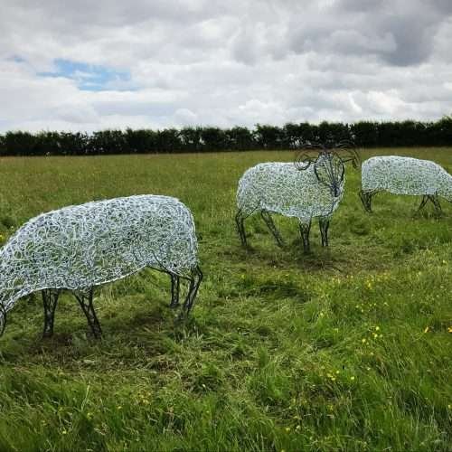 Three Ram Sheep Sculpture In Large Field