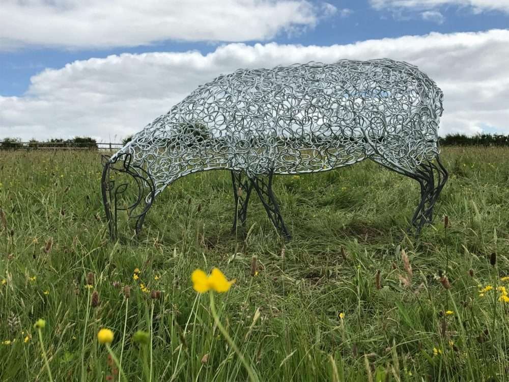 Sheep Sculpture In Buttercup Field