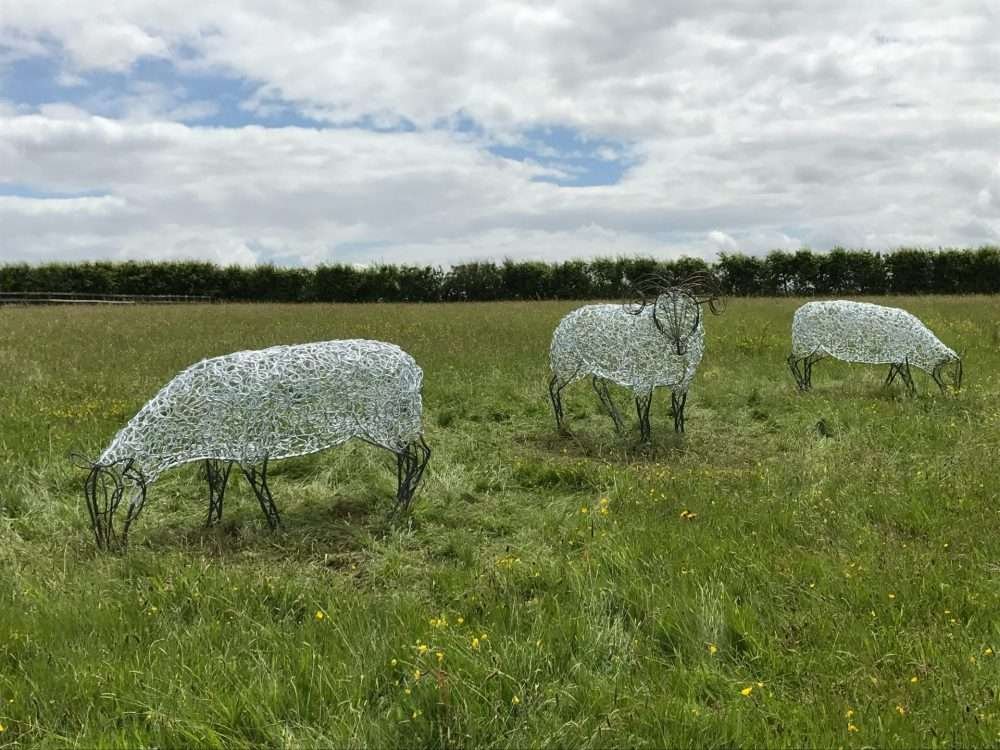 Three Sheep Sculptures