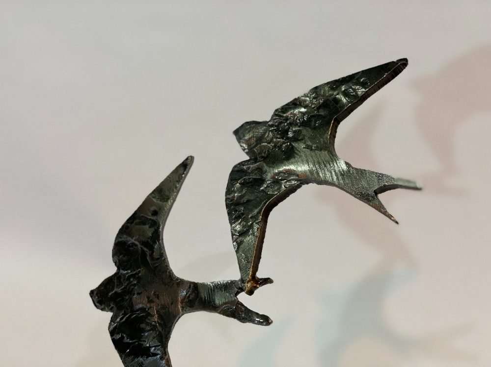 close up of Swifts in Flight