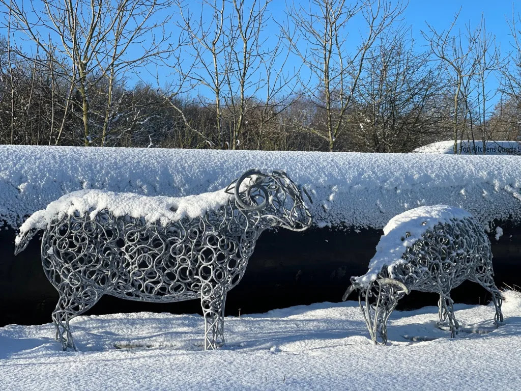 ram sculptures in the Snow