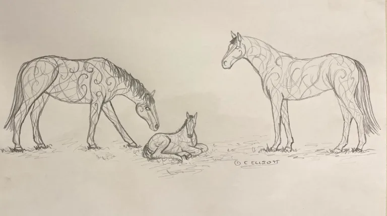 drawing of three horses