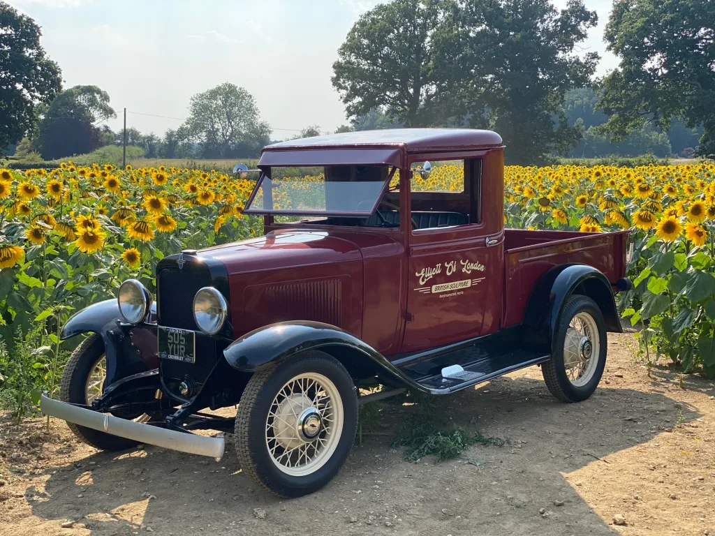 vintage car in field of daffodils