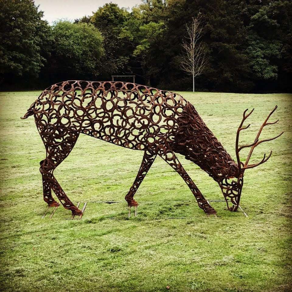 Horseshoe Stag With Antlers Eating Grass