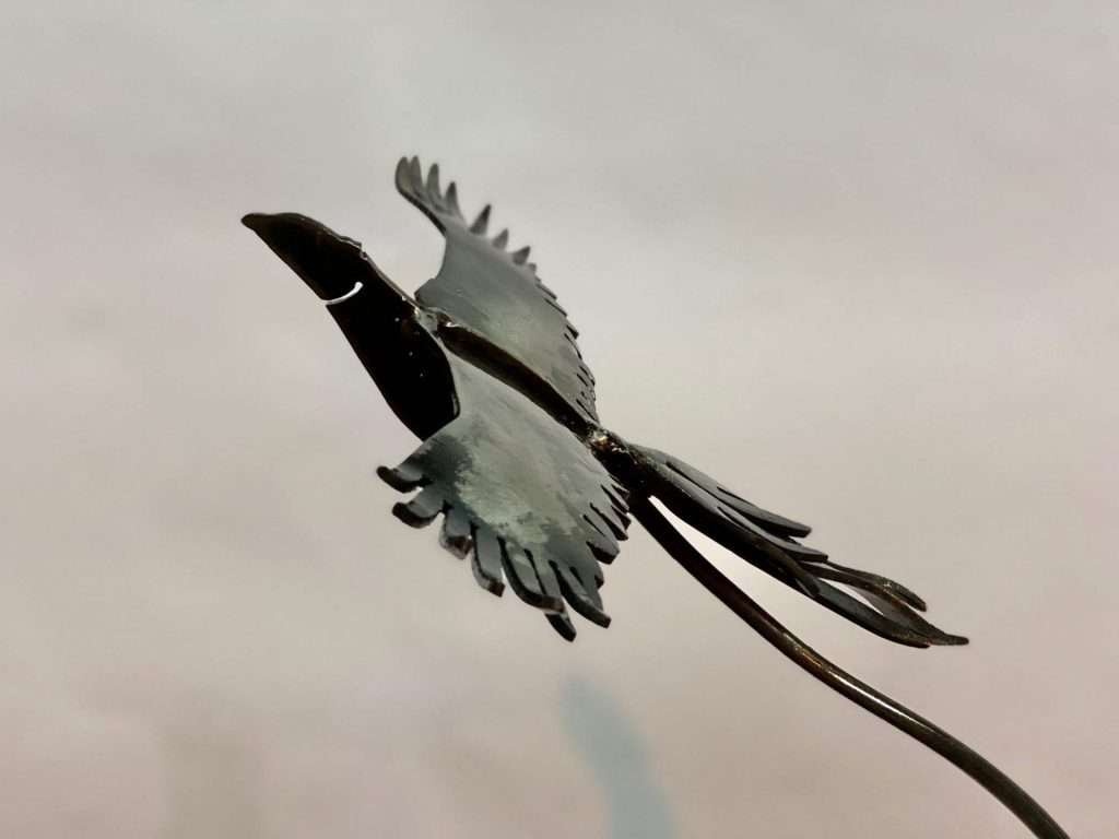 Zoomed In Flying Bird