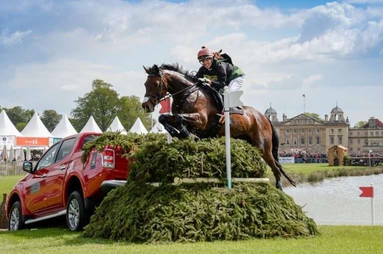 Horse Jumping Over Hedge