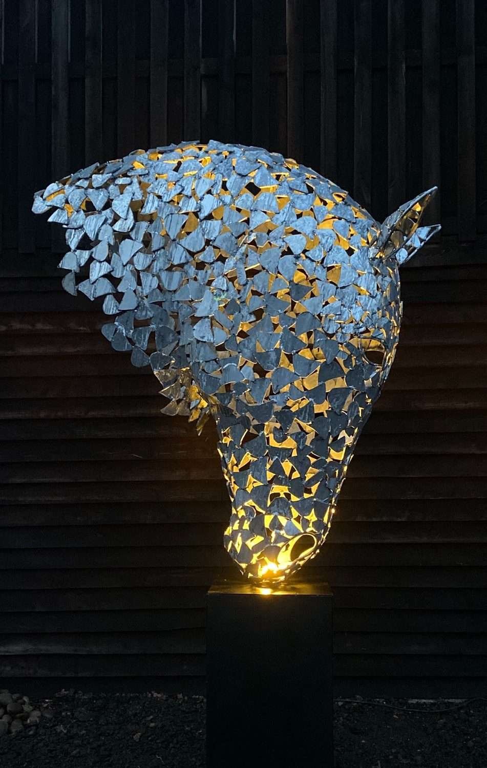 Silver Horse Head At Night