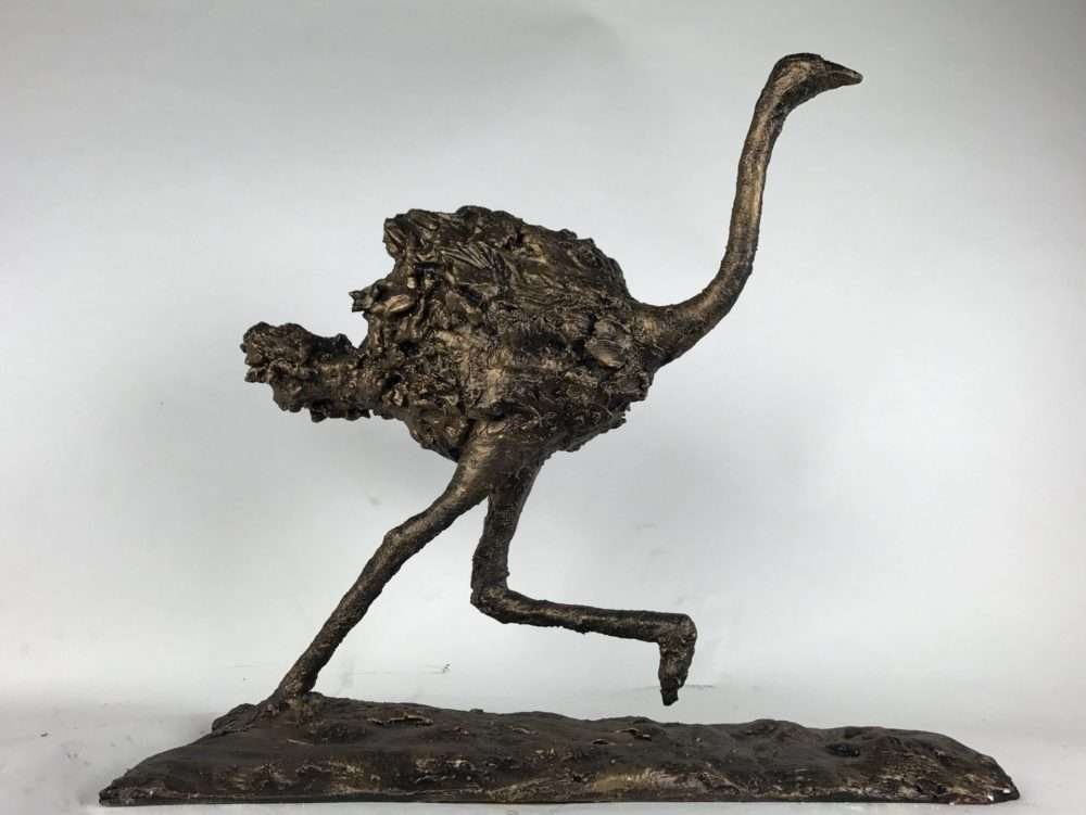 Small Running Ostrich