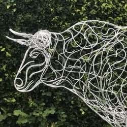 Head Of Bull