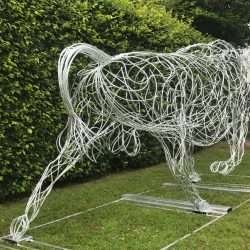 Back Of Silver Bull