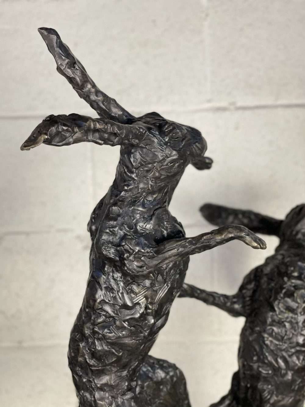 Close up of Boxing Hares 2020