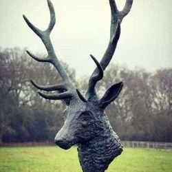 stag head sculpture