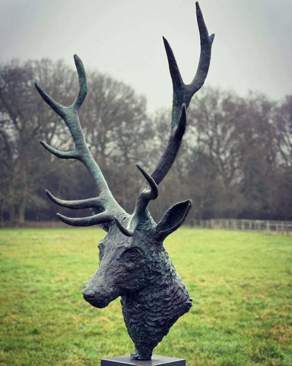 stag head sculpture side view