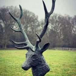 stag head sculpture side view
