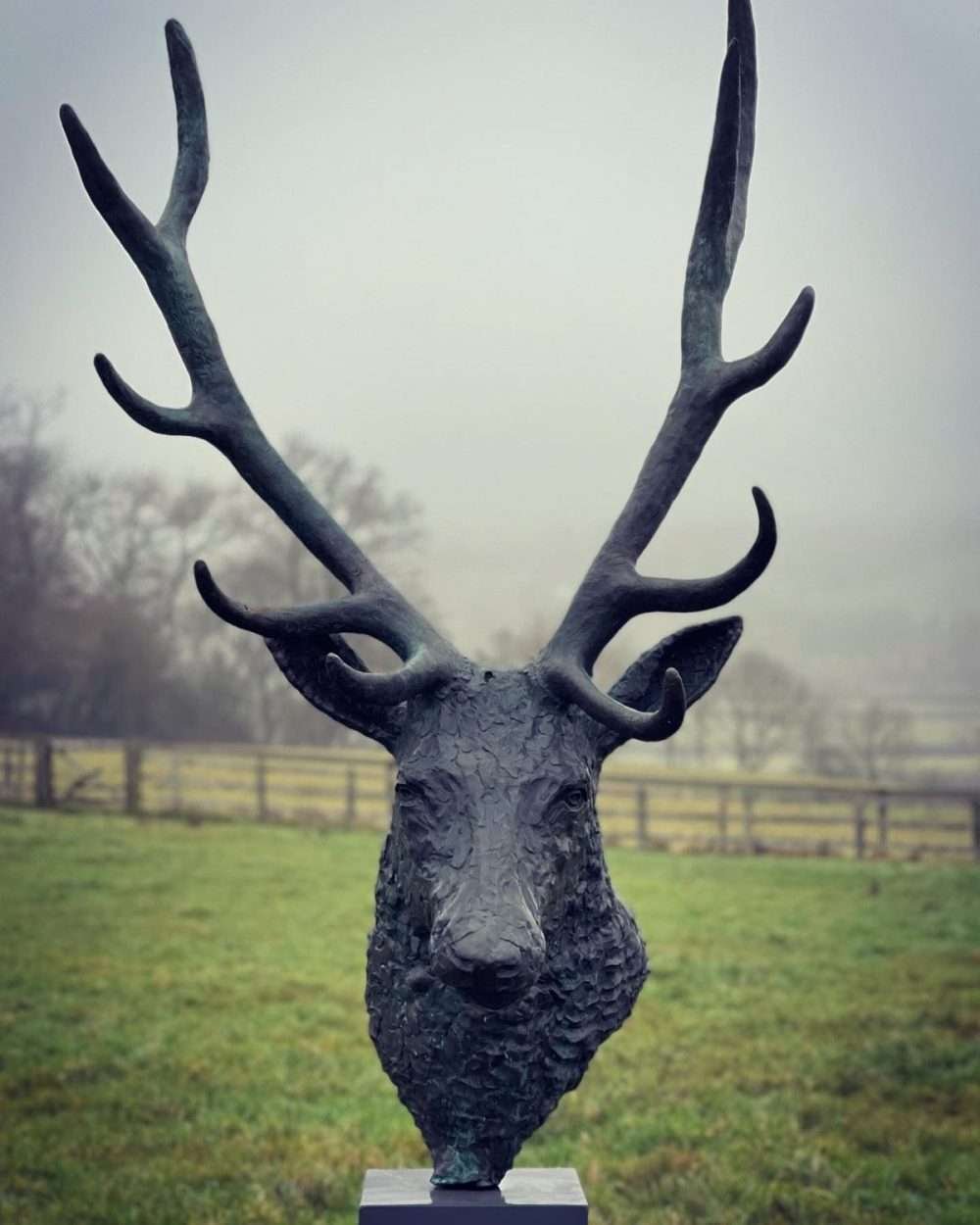 stag head sculpture front view
