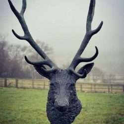 stag head bronze sculptures front view
