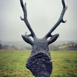 stag head sculpture back view