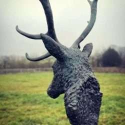 stag head sculpture back view
