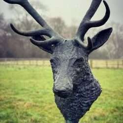 stag head sculpture close up