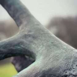 stag head sculpture antler markings
