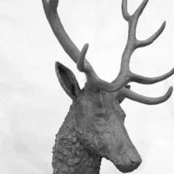 stag head sculpture front side view