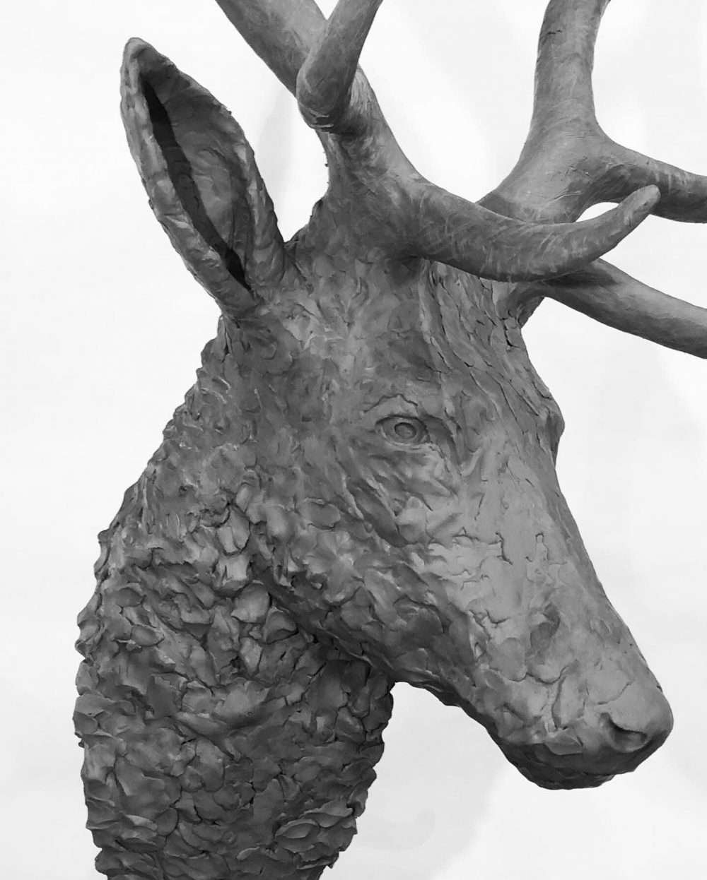 stag head sculpture close up view