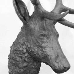 stag head sculpture close up view