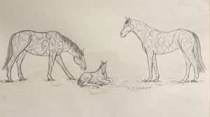 sketch of two horses and a baby horse